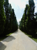 Entrance path to the 16th Century Chateau D'Azay-Le-Rideau