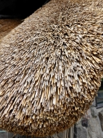 Mushroom house, Thatch roof detail, 2015, Charlevoix, Michigan