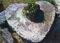 Mini color view of Feast of Love Table  at  Coral Castle, Homestead, Florida, postcard