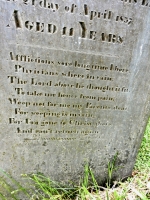 Churchyard at St. Petroc Minor church, Little Petherick