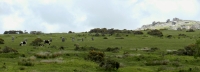 The Hurlers stone circles, near Minions, Cornwall, on Bodmin Moor