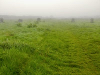 The Merry Maidens stone circle, near St. Buryan, Cornwall