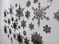 Cross Purposes: Stanley Szwarc at Intuit December 2016. The snowflakes