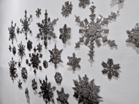 Cross Purposes: Stanley Szwarc at Intuit December 2016. The snowflakes Cross Purposes: Stanley Szwarc at Intuit December 2016. The snowflakes
