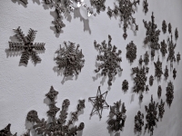 Cross Purposes: Stanley Szwarc at Intuit December 2016. The snowflakes