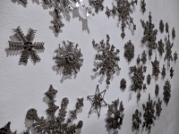 Cross Purposes: Stanley Szwarc at Intuit December 2016. The snowflakes Cross Purposes: Stanley Szwarc at Intuit December 2016. The snowflakes
