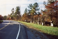 E.T. Wickham Site, 1993.