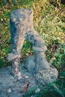 Remains of Sitting Bull. E.T. Wickham site, 1995.