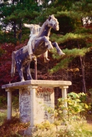 Andrew Jackson. E.T. Wickham site, 1995.