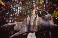 Bull rider. E.T. Wickham site, 1995.