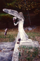 Angel. Wickham Cemetary, 1995.