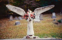 Angel. Wickham Cemetary, 1995.