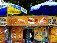 Decorated food truck with umbrellas. Vernacular hand-painted food truck signage, National Mall, Washington, D.C.