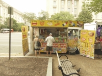 Decorated food truck. Vernacular hand-painted food truck signage, National Mall, Washington, D.C.