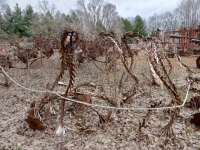 Sculpture at the Forevertron, built by Tom Every (Dr. Evermor), south of Baraboo, Wisconsin