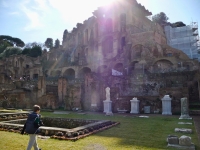 Vestal Virgins, the Forum