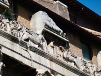 Relief detail, Temple of Antoninus and Faustina