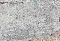 Elephant, tree, frog and flower, plus heart, SM 6.27.81, level 2. Chicago lakefront stone carvings, between Foster Avenue and Montrose. 2017