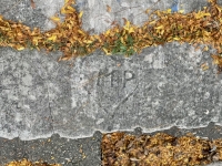 M+P in a heart. Chicago lakefront stone carvings, between Foster Avenue and Montrose. 2023 M+P in a heart. Chicago lakefront stone carvings, between Foster Avenue and Montrose. 2023