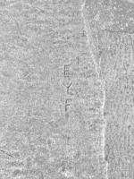 EYF. Chicago lakefront stone carvings, between Foster Avenue and Montrose. 2018 EYF. Chicago lakefront stone carvings, between Foster Avenue and Montrose. 2018