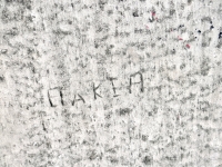 Elakia. Chicago lakefront stone carvings, between Foster Avenue and Montrose. 2023 Elakia. Chicago lakefront stone carvings, between Foster Avenue and Montrose. 2023
