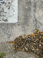 Vic + Dar. Chicago lakefront stone carvings, Foster Avenue Beach. 2023