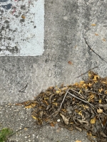 Vic + Dar. Chicago lakefront stone carvings, Foster Avenue Beach. 2023 Vic + Dar. Chicago lakefront stone carvings, Foster Avenue Beach. 2023