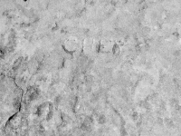 Cher, level 2. Chicago Lakefront stone carvings, between Foster Avenue and Montrose. 2018 Cher, level 2. Chicago Lakefront stone carvings, between Foster Avenue and Montrose. 2018