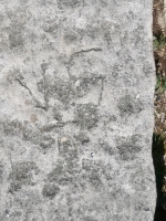 VS | A, level 2. Chicago lakefront stone carvings, between Foster Avenue and Montrose. 2023 VS | A, level 2. Chicago lakefront stone carvings, between Foster Avenue and Montrose. 2023