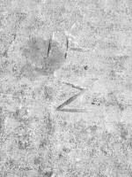 A-Z. Chicago lakefront stone carvings, between Foster Avenue and Montrose. 2017 A-Z. Chicago lakefront stone carvings, between Foster Avenue and Montrose. 2017