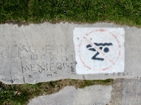 Made in USA by Mexicans, Tony Loves Liley, J1982N. Chicago lakefront stone carvings, between Foster Avenue and Montrose. 2019 Made in USA by Mexicans, Tony Loves Liley, J1982N. Chicago lakefront stone carvings, between Foster Avenue and Montrose. 2019