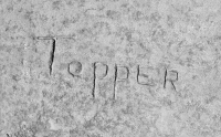 Topper. Chicago Lakefront stone carvings, between Foster Avenue and Montrose. 2017 Topper. Chicago Lakefront stone carvings, between Foster Avenue and Montrose. 2017
