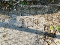 John. Chicago lakefront stone carvings, between Foster Avenue and Montrose. 2023 John. Chicago lakefront stone carvings, between Foster Avenue and Montrose. 2023