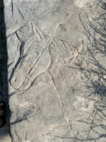 Horse. Chicago lakefront stone carvings, between Foster Avenue and Montrose. 2023