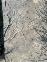 Horse. Chicago lakefront stone carvings, between Foster Avenue and Montrose. 2023 Horse. Chicago lakefront stone carvings, between Foster Avenue and Montrose. 2023