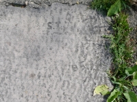 S.T., BS. Chicago Lakefront stone carvings, between Foster Avenue and Montrose. 2023