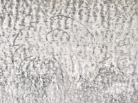 Lion head or a tree, TB. Chicago lakefront stone carvings, between Foster Avenue Beach and Montrose. 2023 Lion head or a tree, TB. Chicago lakefront stone carvings, between Foster Avenue Beach and Montrose. 2023