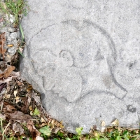 Profile with thin neck. Chicago lakefront stone carvings, between Foster Beach and Montrose. 2023 Profile with thin neck. Chicago lakefront stone carvings, between Foster Beach and Montrose. 2023