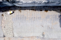 R.L., E, level 2. Chicago lakefront stone carvings, Foster Avenue Beach. 2021 R.L., E, level 2. Chicago lakefront stone carvings, Foster Avenue Beach. 2021
