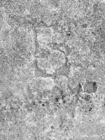 Dollar sign, level 2, below J.J. Chicago lakefront stone carvings, between Foster Avenue and Montrose. 2023 Dollar sign, level 2, below J.J. Chicago lakefront stone carvings, between Foster Avenue and Montrose. 2023