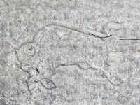 Charging bull. Chicago lakefront stone carvings, between Foster Avenue and Montrose. 2017 Charging bull. Chicago lakefront stone carvings, between Foster Avenue and Montrose. 2017