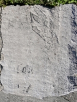 Bird in flight, Tom. Chicago lakefront stone carvings, between Foster Avenue and Montrose. 2023