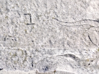 Cat face to left of longhorn. Chicago lakefront stone carvings, Foster Avenue Beach. 2023