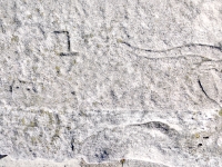 Cat face to left of longhorn. Chicago lakefront stone carvings, Foster Avenue Beach. 2023 Cat face to left of longhorn. Chicago lakefront stone carvings, Foster Avenue Beach. 2023