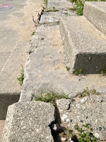 Donna. Chicago lakefront stone carvings, near Osterman Beach. 2023