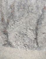 Bearded king. Chicago lakefront stone carvings, between Foster Avenue and Bryn Mawr. 2017 Bearded king. Chicago lakefront stone carvings, between Foster Avenue and Bryn Mawr. 2017