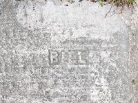 Bill. Chicago lakefront stone carvings, between Foster Avenue and Bryn Mawr. 2023 Bill. Chicago lakefront stone carvings, between Foster Avenue and Bryn Mawr. 2023