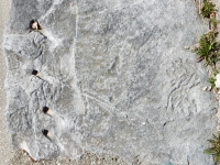 Horse, with tail. Chicago lakefront stone carvings, between Foster Avenue and Bryn Mawr. 2019 Horse, with tail. Chicago lakefront stone carvings, between Foster Avenue and Bryn Mawr. 2019