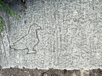 Seagull, 1965, and wheel. Chicago lakefront stone carvings, between Foster Avenue and Bryn Mawr. 2023