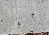 RL heart with arrow, coffin shape. The heart is recent. The coffin vintage. Level 2. Chicago lakefront stone carvings, between Foster Avenue and Bryn Mawr. 2017 RL heart with arrow, coffin shape. The heart is recent. The coffin vintage. Level 2. Chicago lakefront stone carvings, between Foster Avenue and Bryn Mawr. 2017